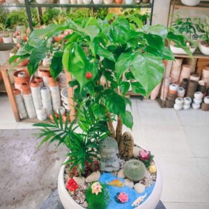 Cách Chăm Sóc Cây Xanh Để Bàn Giúp Cây Luôn Tươi Tắn, Xanh Mướt